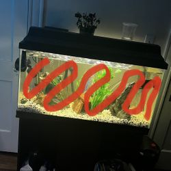 Sell/trade 40 Hall Tank 