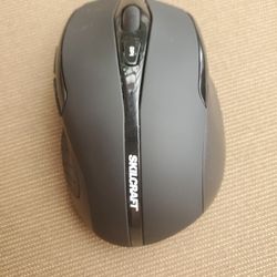 Mouse 