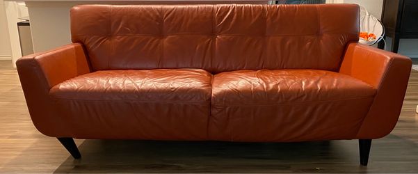 Modern REAL leather couch