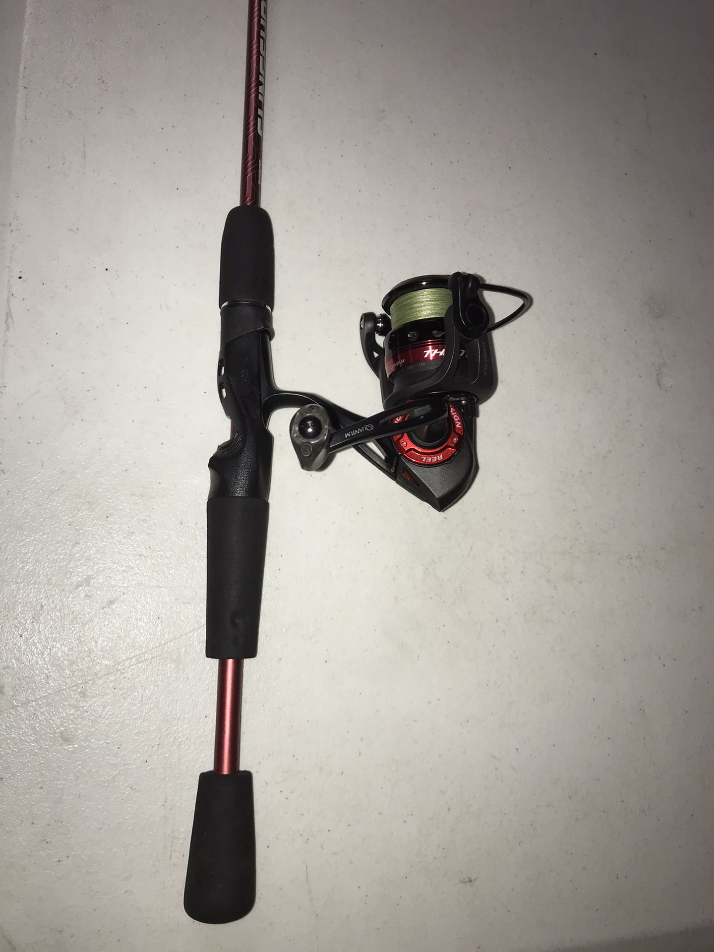 Fishing rod with quantum reel