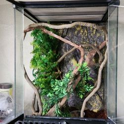 12x18 Exo Terra Gecko Terrarium 