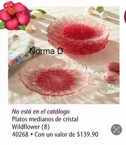 Juego de 8 platos wildflower nuevos en sus cajas precio fijo  🌺 princess house 🌺