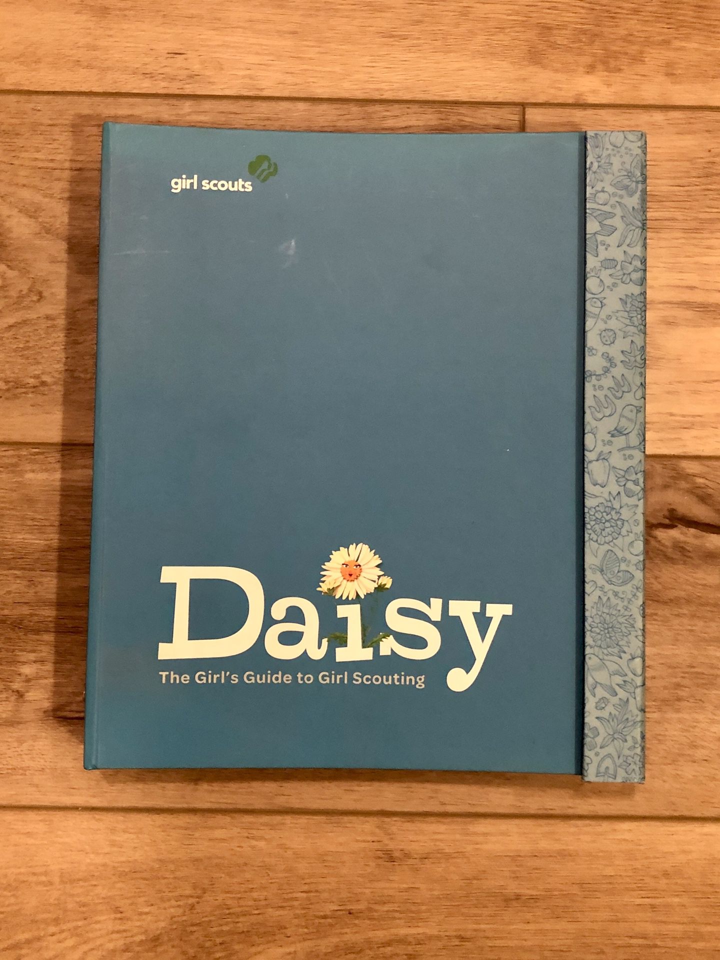 Daisy Girl Scout Guide, Patches & Shirt
