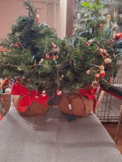 Two Small Christmas Tree