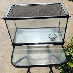 Reptile Tank