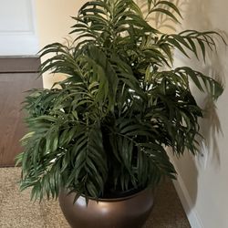 Fake Plant 