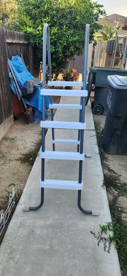 Above ground pool ladder