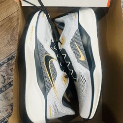 Nike Air Zoom Pegasus 41 'Light Smoke Grey Metallic Gold' HQ3220-100