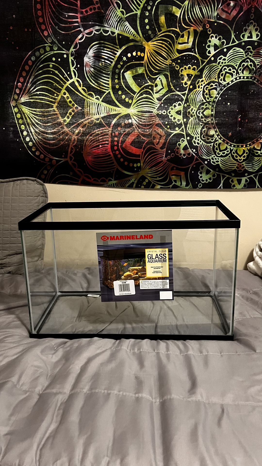 10 Gallon Aquarium