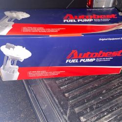 Fuel Pump 2007 F150 4.6 