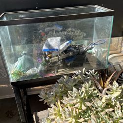 Fish Tank 