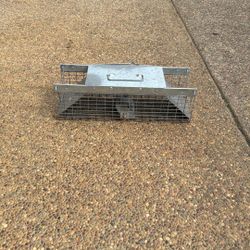 Trap, Rodent