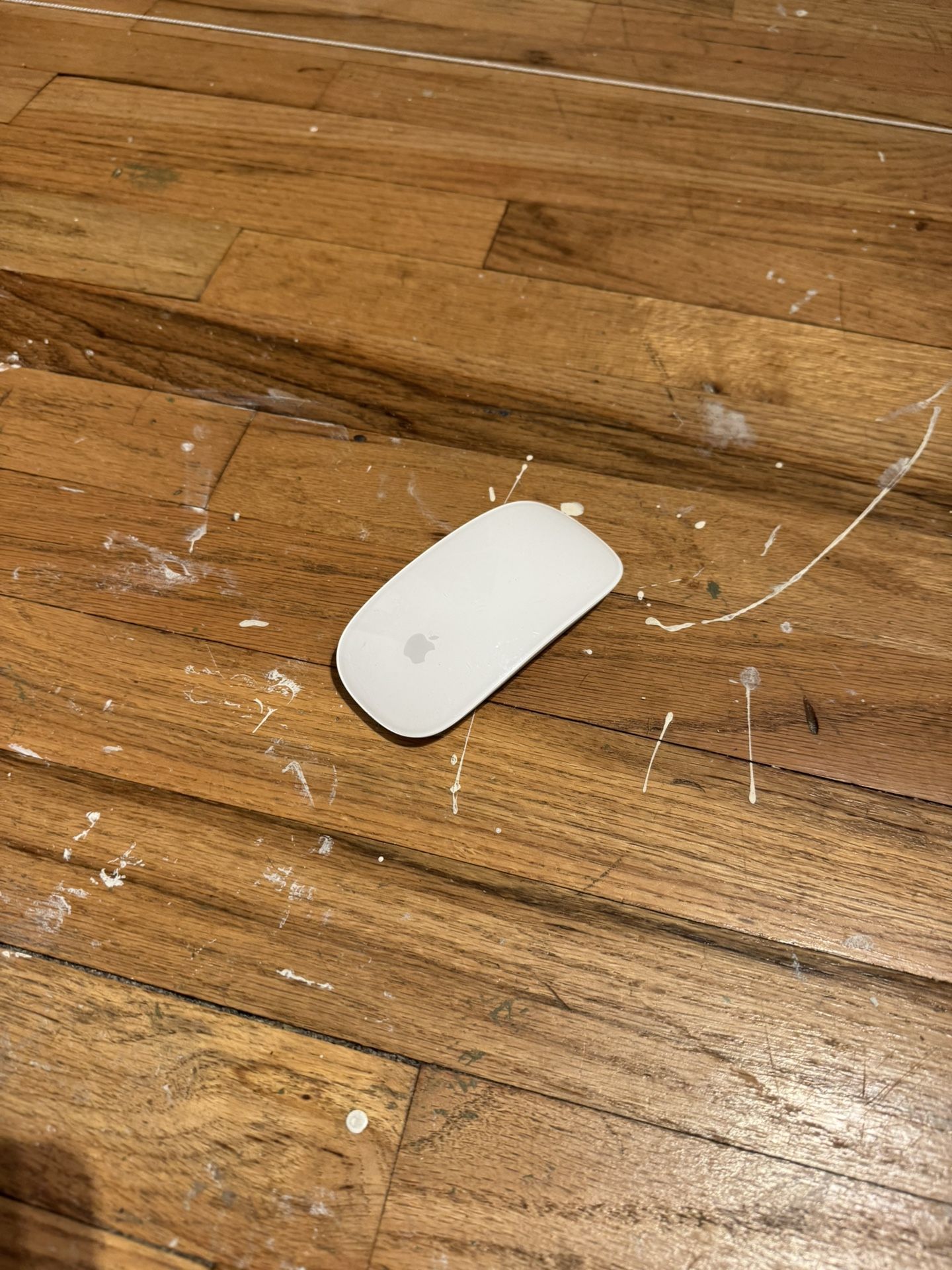 Apple Magic Mouse