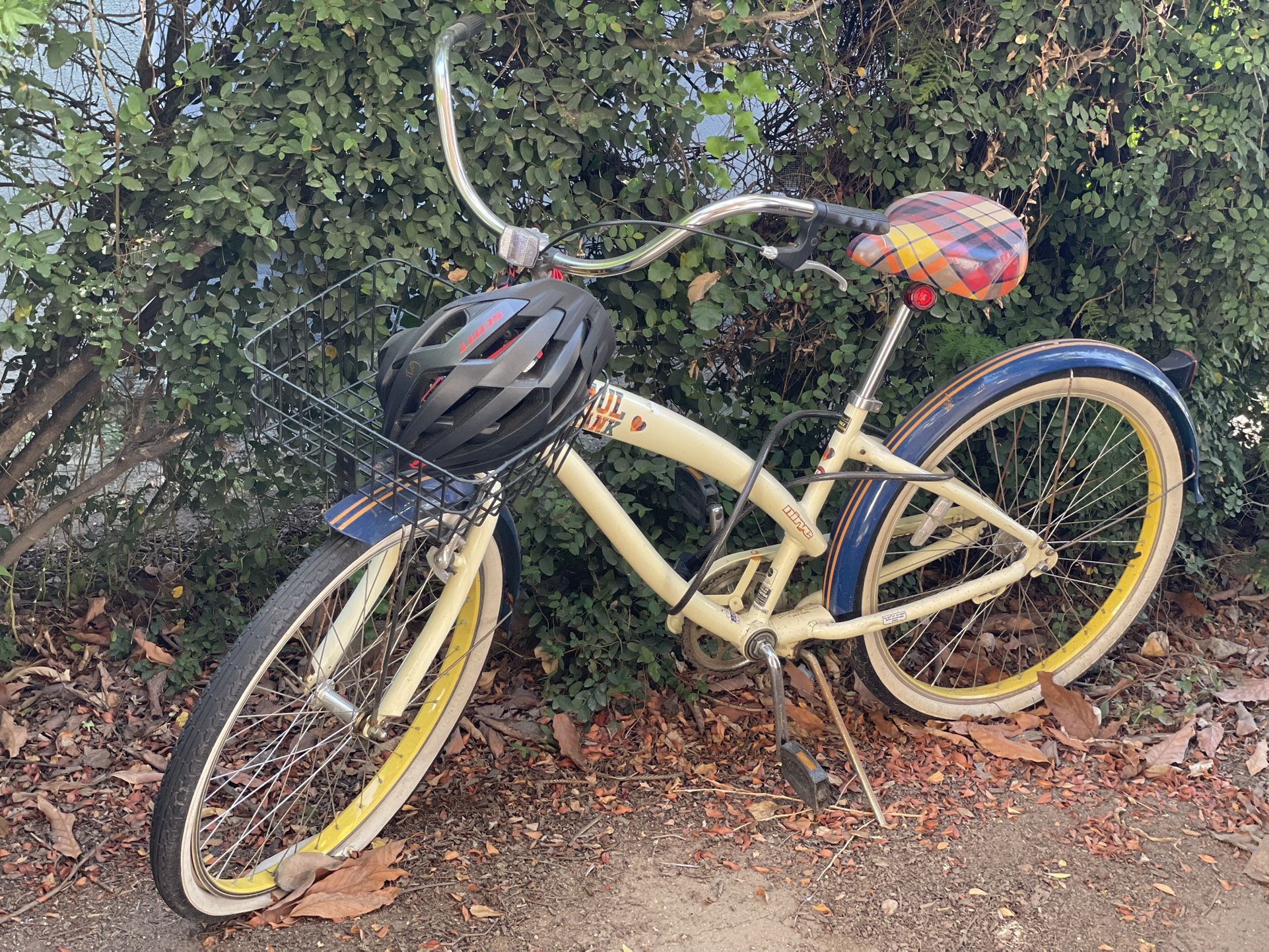 Paul Frank Beach cruiser bike