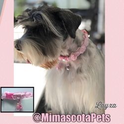 Collar handmade, Collares Para Mascotas Pequeñas,Collars for small pets, necklaces dogs or cats.