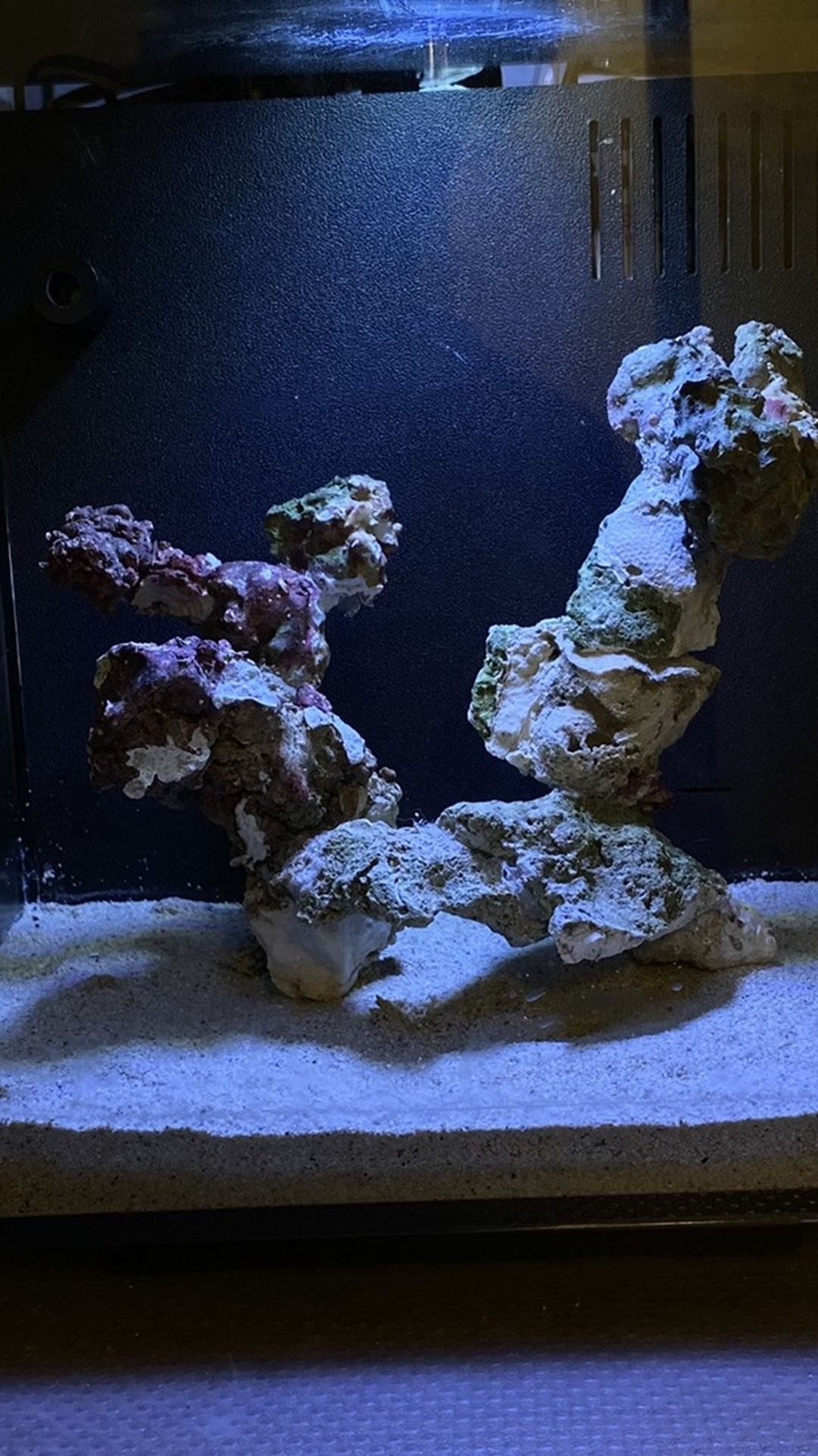 Custom Made Aquascape Saltwater Reef Fish Tank Aquarium