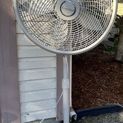 Large Oscillating Fan