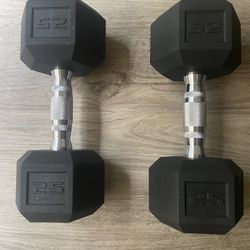 25 Pound Dumbbells 