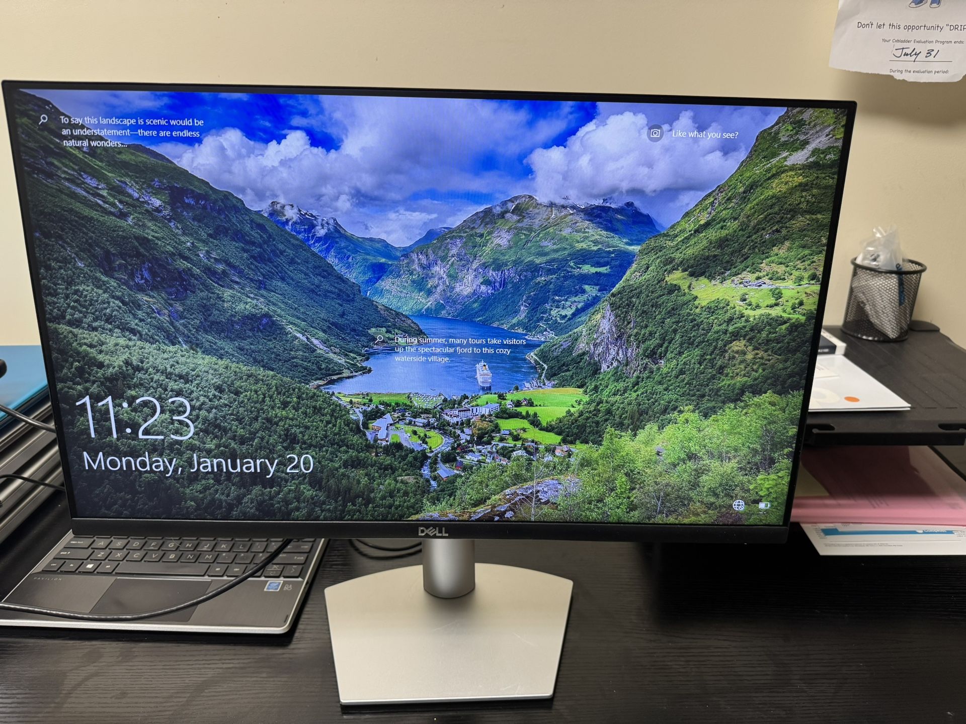 Dell 24" monitors