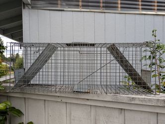 Havahart Live Animal Trap Cage : 2 Doors