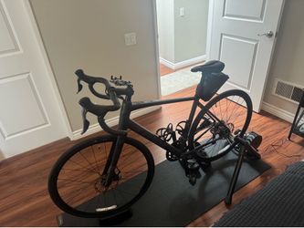 Trek Domane AL2 Gen 4