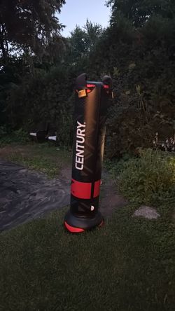 Century Boxing bag