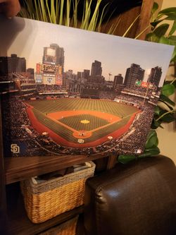 Petco Park canvas