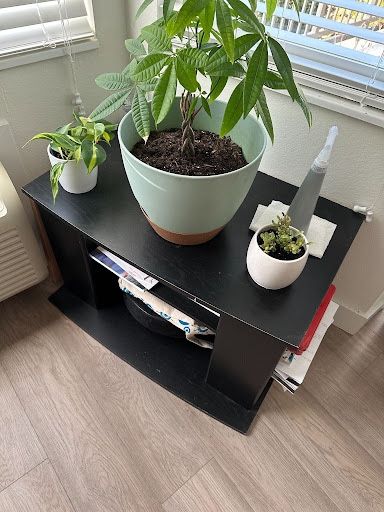 Storage Side Desk