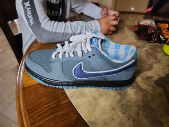 nike sb and nike dunk