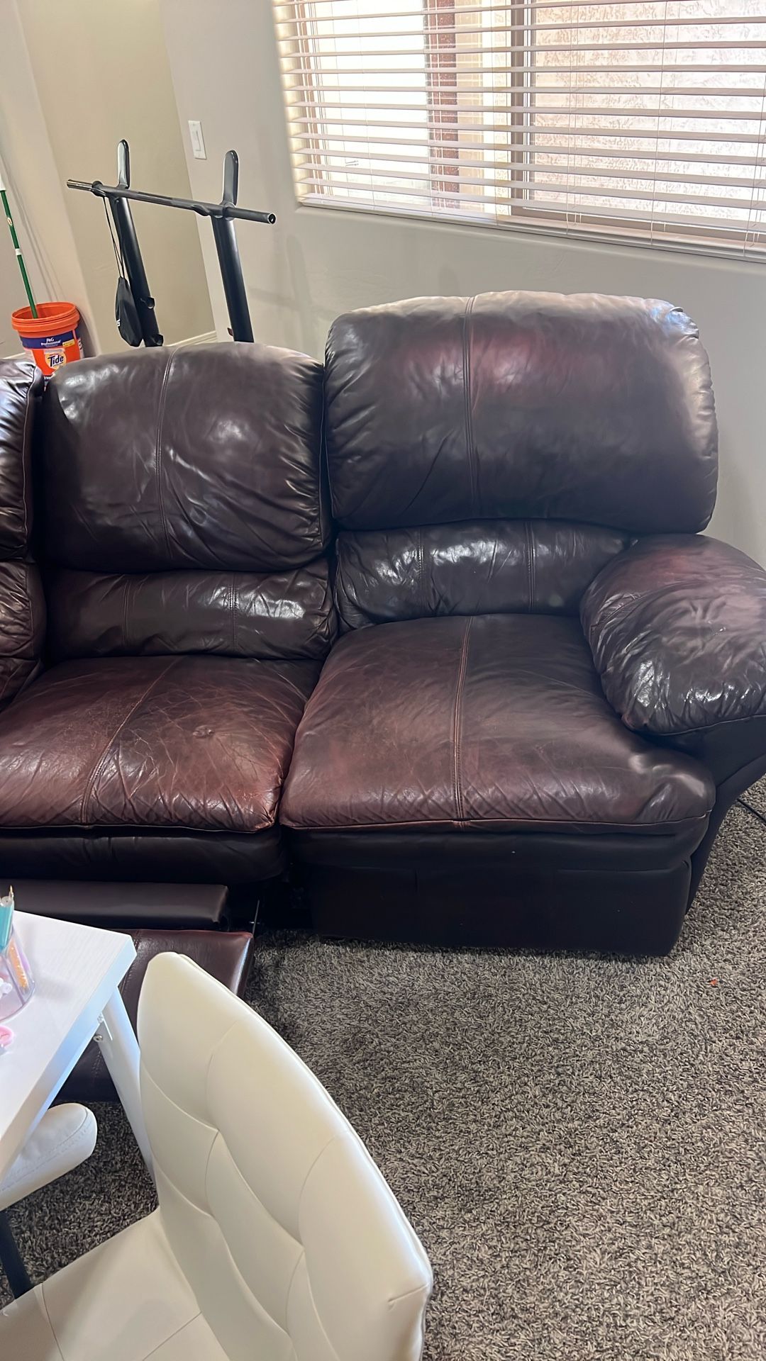 Leather Sectional sleeper