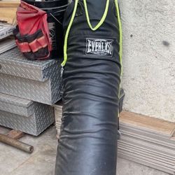 Punching Bag