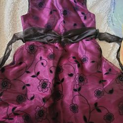 Delicate Girl  Dresses