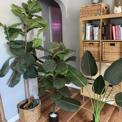 Beautiful Fake Plants 