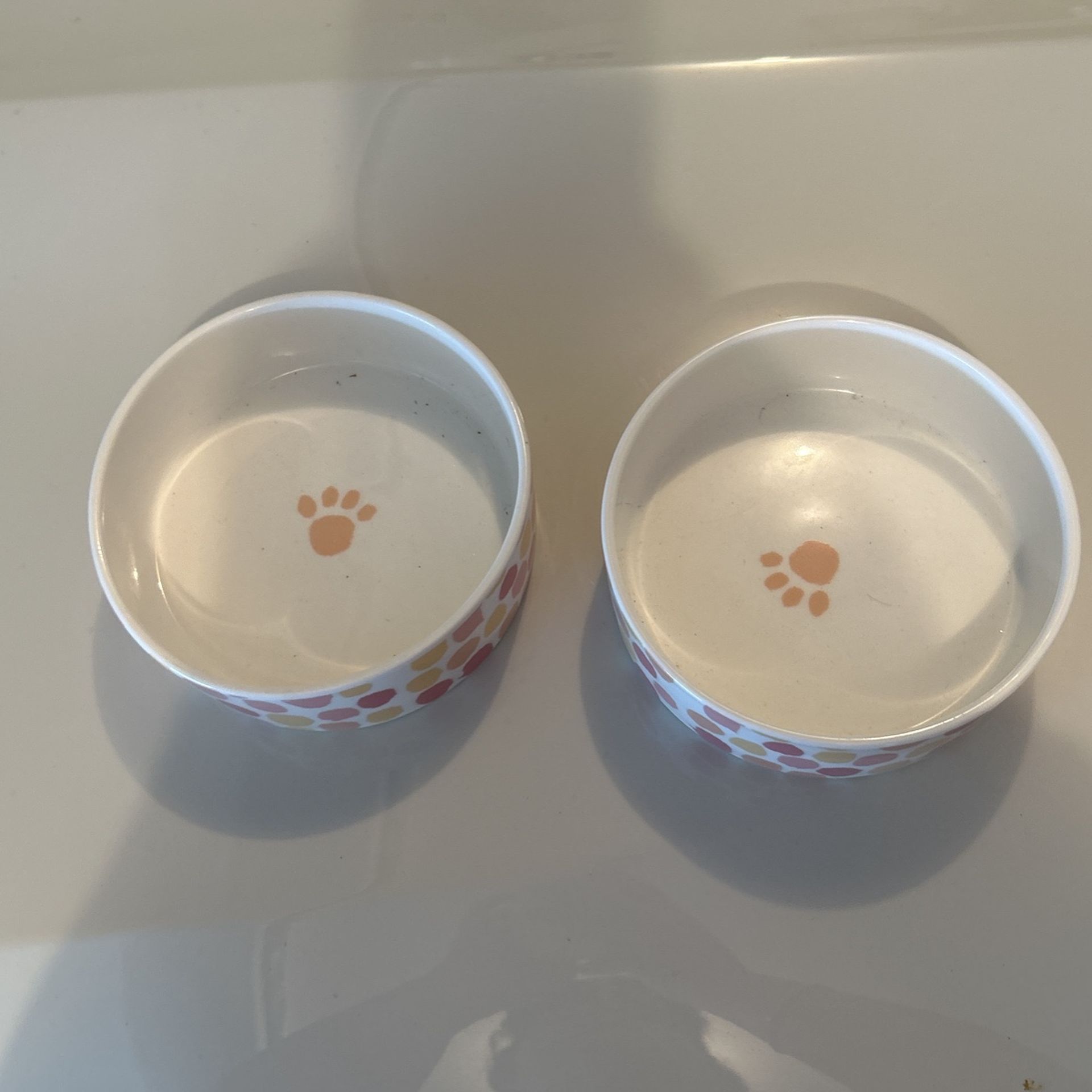 Pet Dishes
