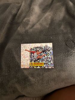 Panini sticker 00