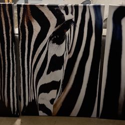 3  Large Zebra Wall Art Set