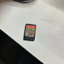 Nintendo Switch Game!