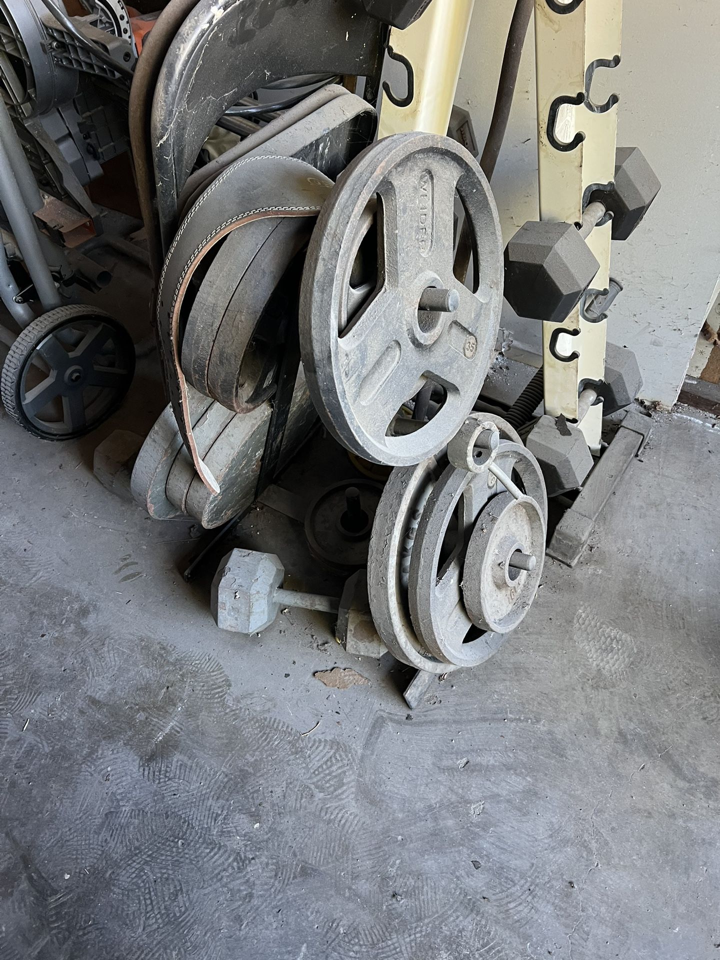 Set Of Olympic Weight Set With Tree