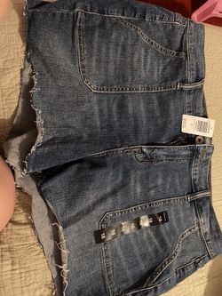 Torrid Shorts