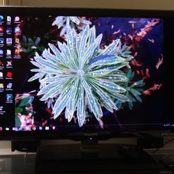 Philips 40" Class Full HD 1080p LED TV/monitor