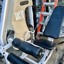 Nautilus Seated Leg Curl – 250lb weight Stack