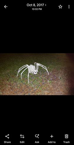 skeleton spider Seasons / Crazy Bonez Large Skeleton Spider Halloween Decoration