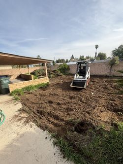 Sod Removal