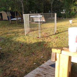 Kennel 