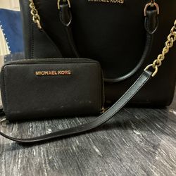 Purse With Wallet 