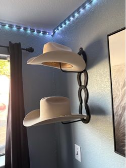 Cow boy hat