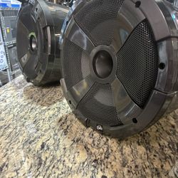 Powerbass 10 Inch Speaker Can With Built In Horn Tweeter