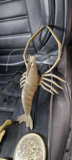 Brass vintage shrimp or prawn full intact antennas