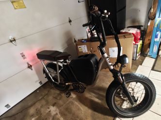 Radpower Radrunner Plus electric bike