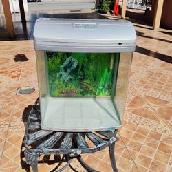 Fish Tank.... 5 gallon 